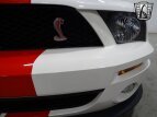 Thumbnail Photo 11 for 2007 Ford Mustang Shelby GT500